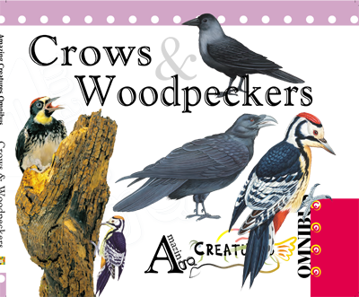 Amazing Creatures Omnibus: Crows & Woodpeckers