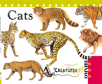 Amazing Creatures Omnibus: Cats