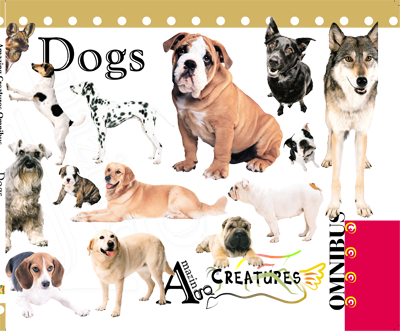 Amazing Creatures Omnibus: Dogs